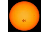 dark sunspots on the surface of the sun 