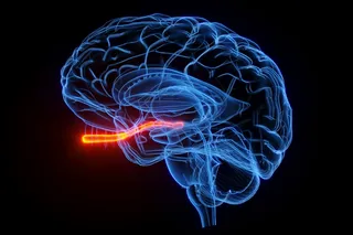 3D illustration of the optic nerve in the brain in orange