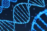 DNA Strand