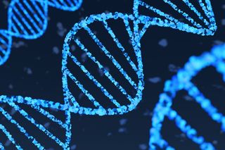 DNA Strand