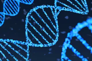 DNA Strand