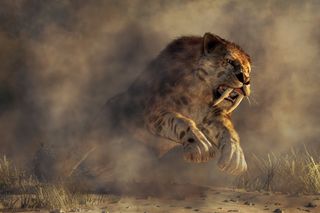 smilodon, a saber-tooth-cat jumping 