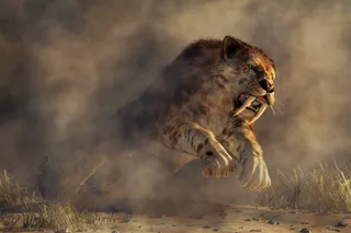 smilodon, a saber-tooth-cat jumping 