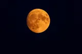 Full buck moon