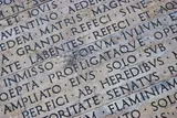 Ancient writing carved into stone 