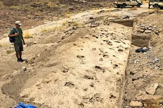 area with fossilzed foot prints