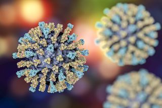 illustration of the ​Measles virus 