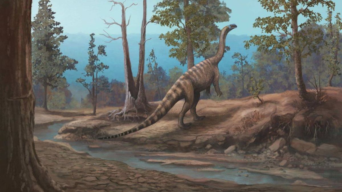 Photo: Discover Magazine 210-million-year-old dinosaur reveals lost world