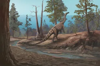 Musango matusadonaensis by a river bank