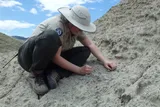 Ann Kort digging for fossils at a excavation site 