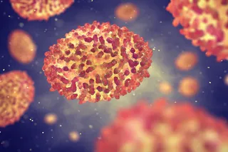 small pox virus