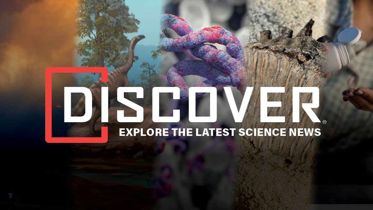 Human Ebola Vaccine Trials Begin, a Newly Discovered Dinosaur from Zimbabwe, and Wildfires in Europe Are Producing 