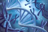 Illustration of DNA