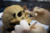 Ancient human skull representation