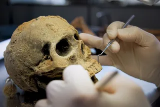 Ancient human skull representation