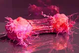 Illustration of cancer cells
