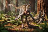 A 73-Million-Year-Old Misidentified Dinosaur Fossil Reveals New Mexico’s Cretaceous Predators Were More Diverse