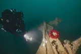 Diver places a wreath on the tiller of HMS Tiger