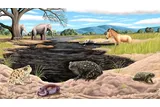 new species of ice age toad at la brea tar pits 