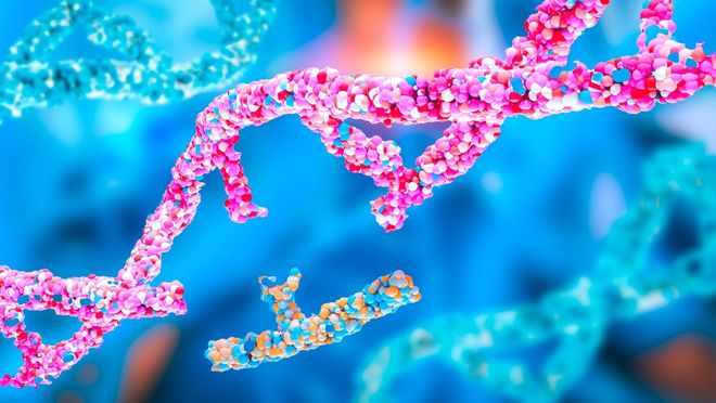 Illustration of gene editing via CRISPR technology