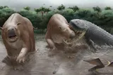 Artist’s reconstruction of Purussaurus neivensis biting Pericotoxodon platignathus in a Miocene wetland as another ungulate flees.
