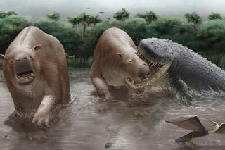 Artist’s reconstruction of Purussaurus neivensis biting Pericotoxodon platignathus in a Miocene wetland as another ungulate flees.