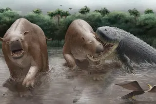 Artist’s reconstruction of Purussaurus neivensis biting Pericotoxodon platignathus in a Miocene wetland as another ungulate flees.