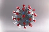 Covid virus 