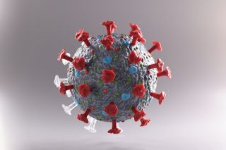Covid virus