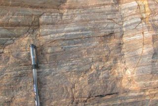 examples of dark carbonaceous bands in chert from the early days of Earth