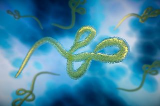 digital representation of Ebola virus