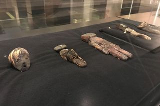 Mummified remains in a museum 