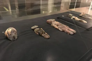 Mummified remains in a museum