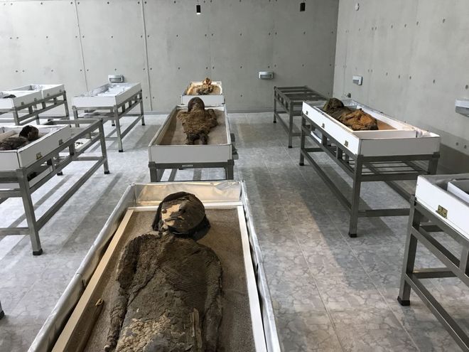 mummies in a museum 