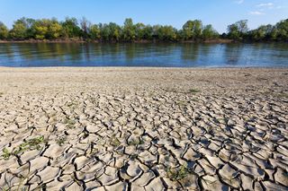 dried mud along the sava river