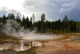 Steam rises from a blue hot spring edged by orange and surrounded by forest in Yellowstone National Park.