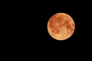 A coppery orange full moon representing August’s Sturgeon Moon against a black night sky.