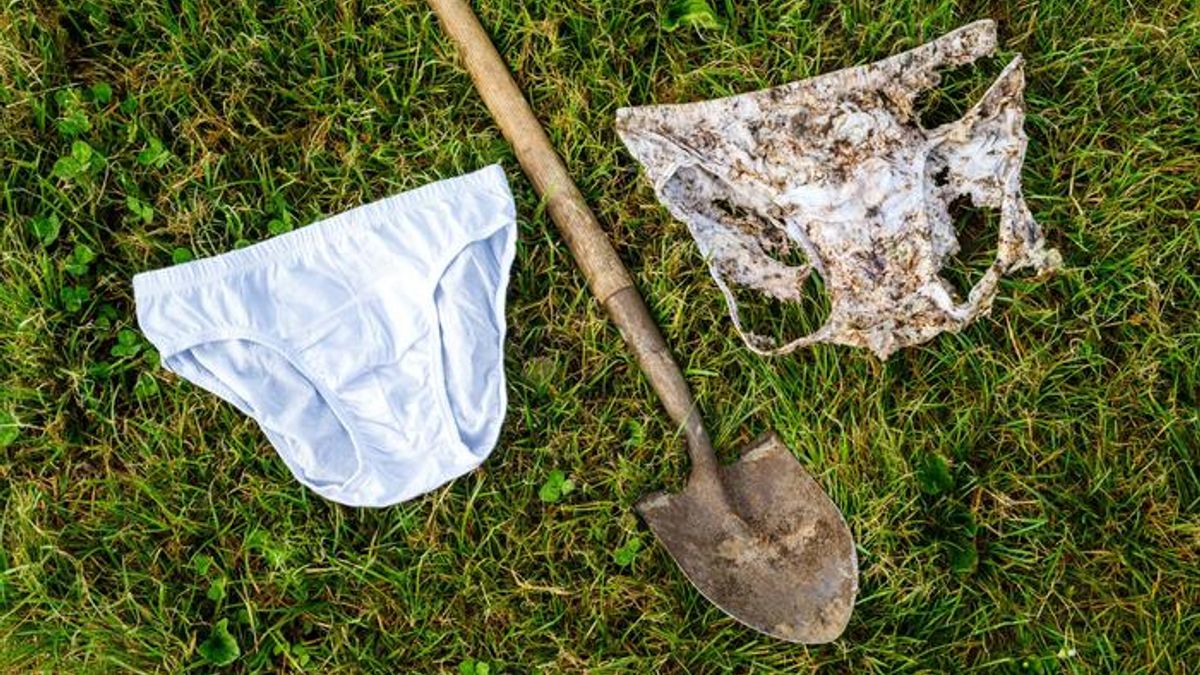 Photograph accompanying A buried pair of cotton briefs ranked 1,000 Swiss soils by biological activity