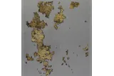 scraps of old Roman law book 
