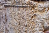 120 Ancient Inscriptions Suggest Roman Women Gathered Deep Underground to Worship 'the Lady'