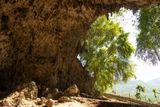 At Least 60,000 Years Ago, the &ldquo;Hobbit&rdquo; of Flores Walked Upright With Human-Like Hips, Despite One Unusual Pelvic Bone