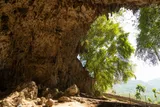 The rocky entrance to Liang Bua cave on Flores, Indonesia, surrounded by tropical trees.