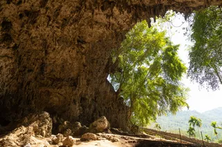 The rocky entrance to Liang Bua cave on Flores, Indonesia, surrounded by tropical trees.