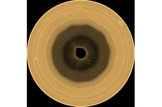 Wave seen around Saturn's south pole