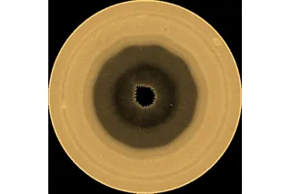 Wave seen around Saturn's south pole