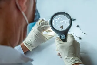 Gloved researcher examines dried psilocybin mushrooms with a magnifying glass.