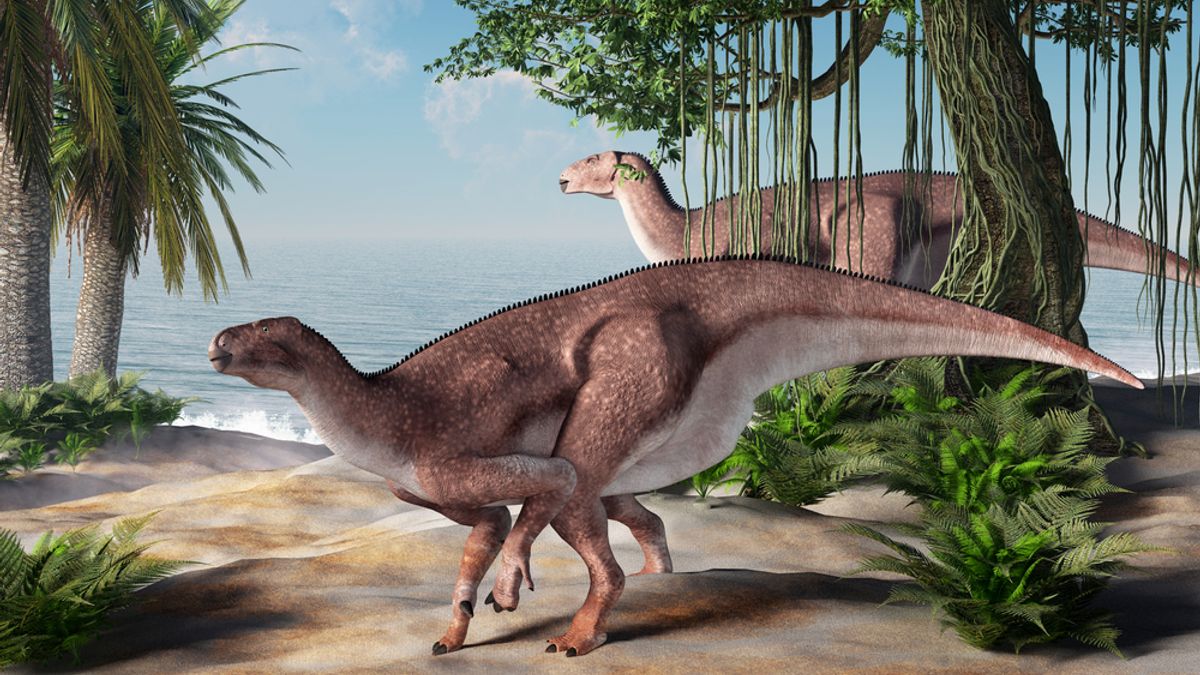Swelling on an Iguanodon Shinbone May Reveal the First Known Infected Ulcer in a Dinosaur