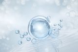 Scientists Capture Fast Chemical Reactions