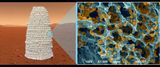 mars yeast t
