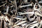 Ancient Denisovan Bone Found in China